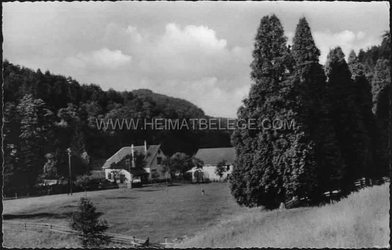 alte historische Ansichtskarten trier Altenhof 24022003_4.jpg